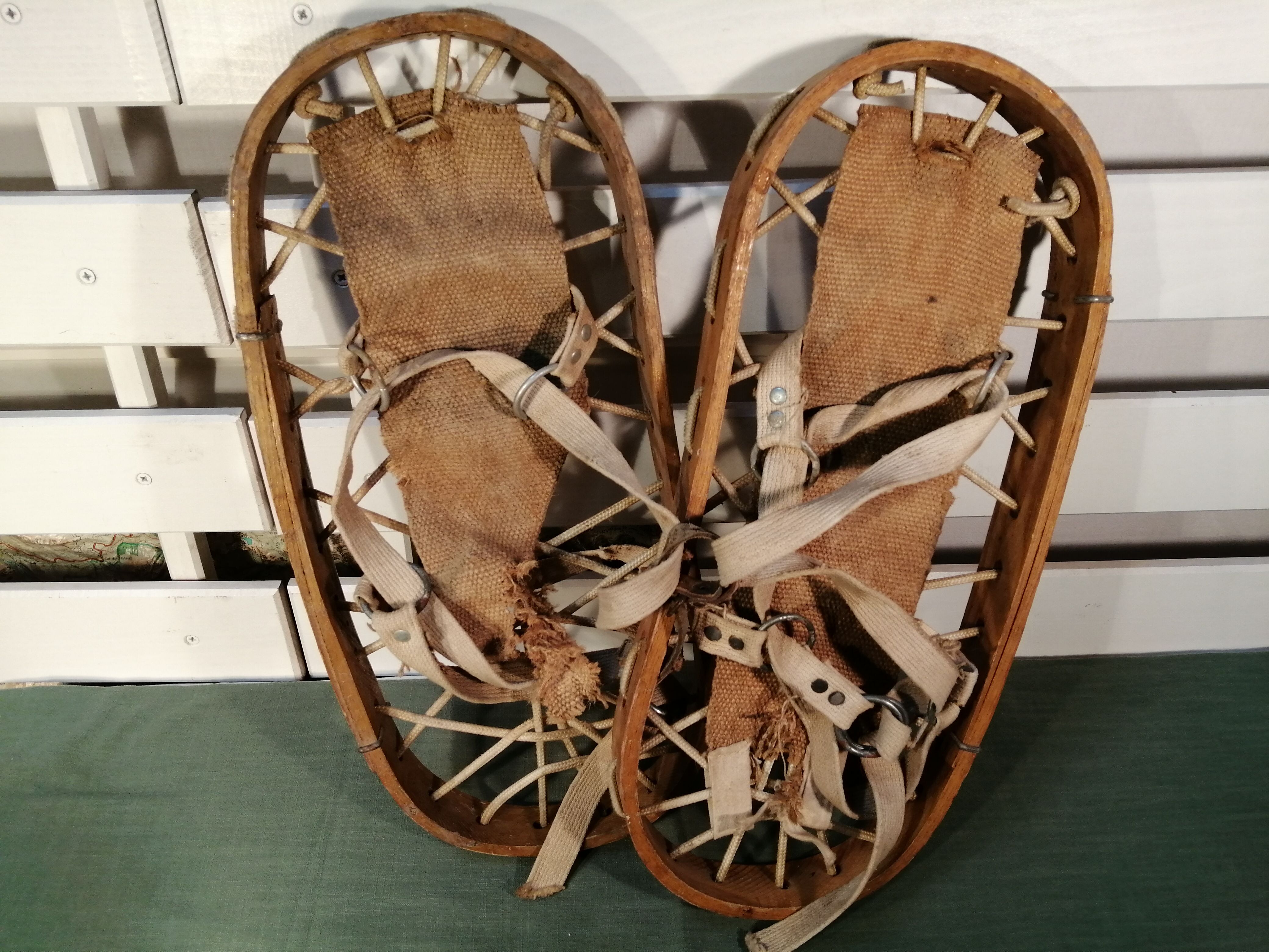 Winterna old snowshoe