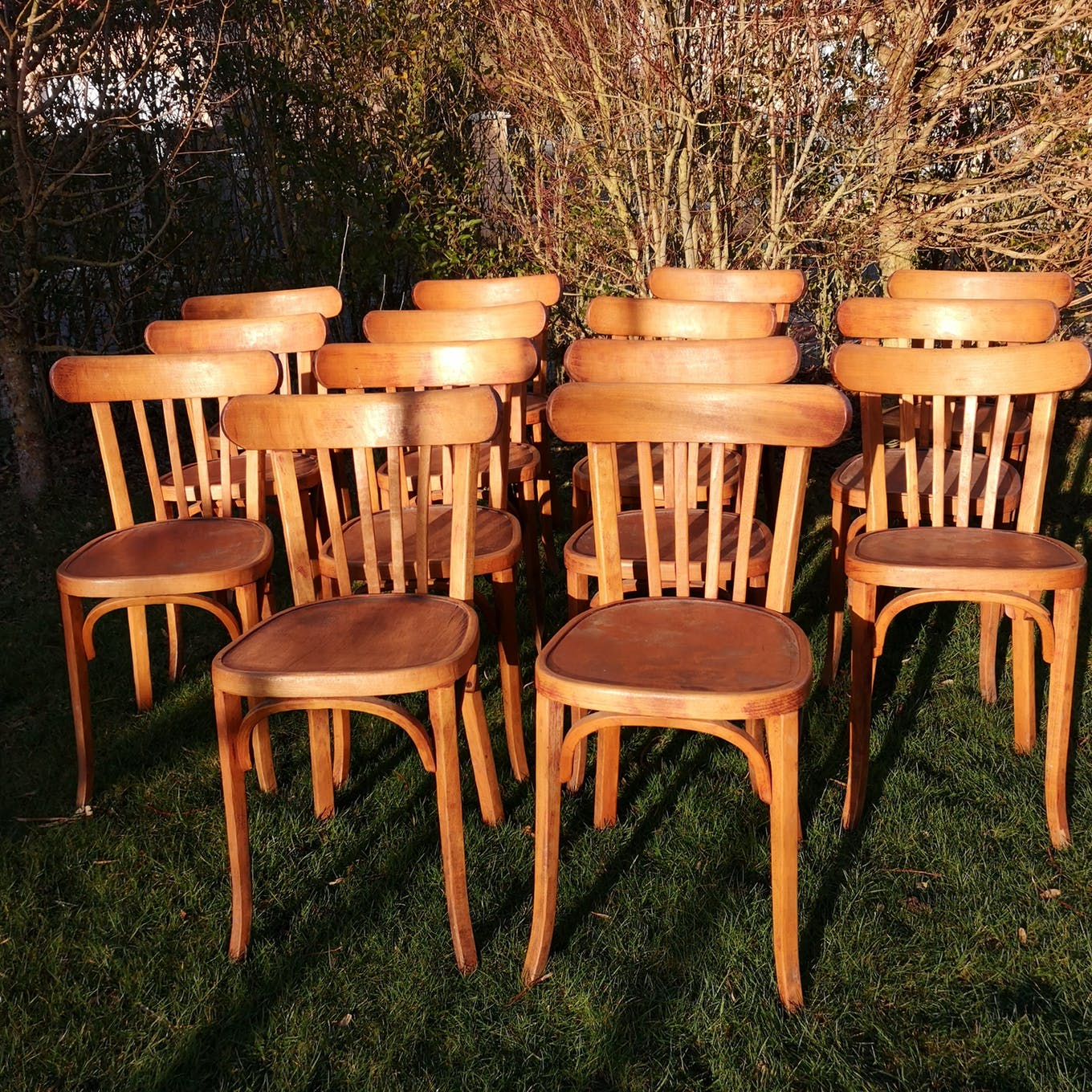 Set of 8 chairs Bistro Baumann