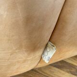 Aralia Sofa by Michel Ducaroy