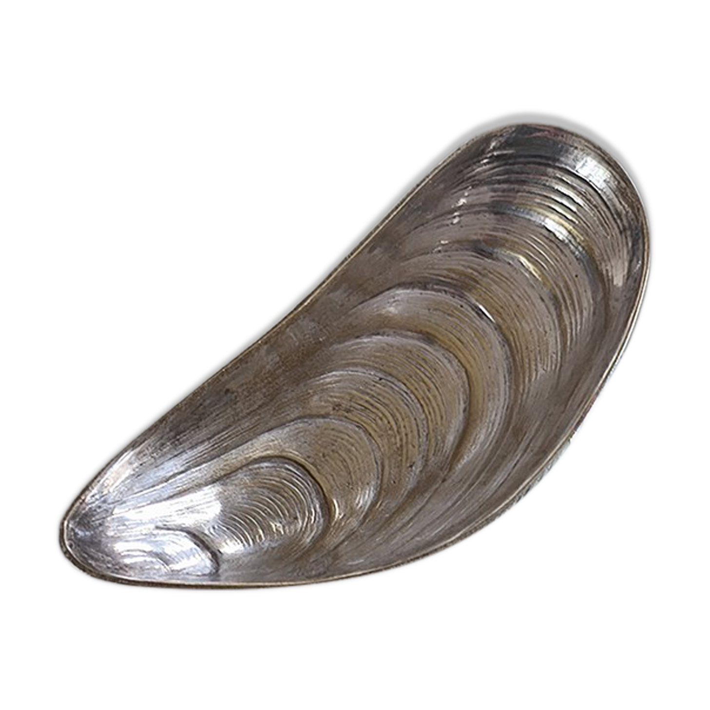 Shell-shaped bowl