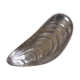 Shell-shaped bowl