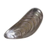 Shell-shaped bowl