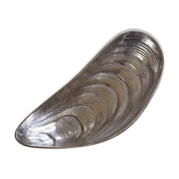 Shell-shaped bowl