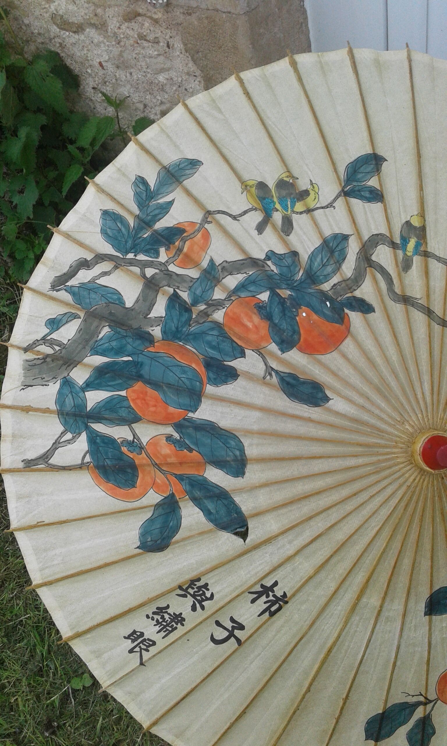 Asian umbrella