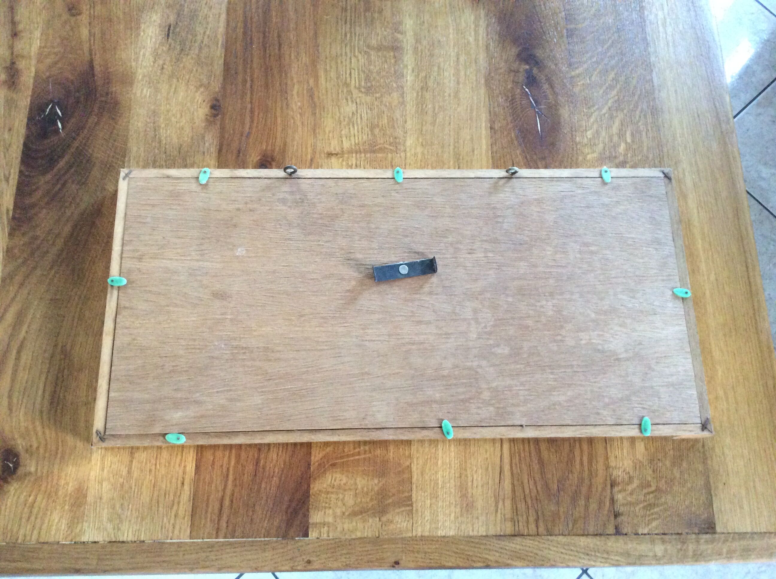 Naturalized butterfly frame