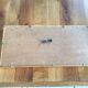 Naturalized butterfly frame