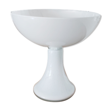 Fruit cup