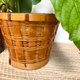 Rattan planters