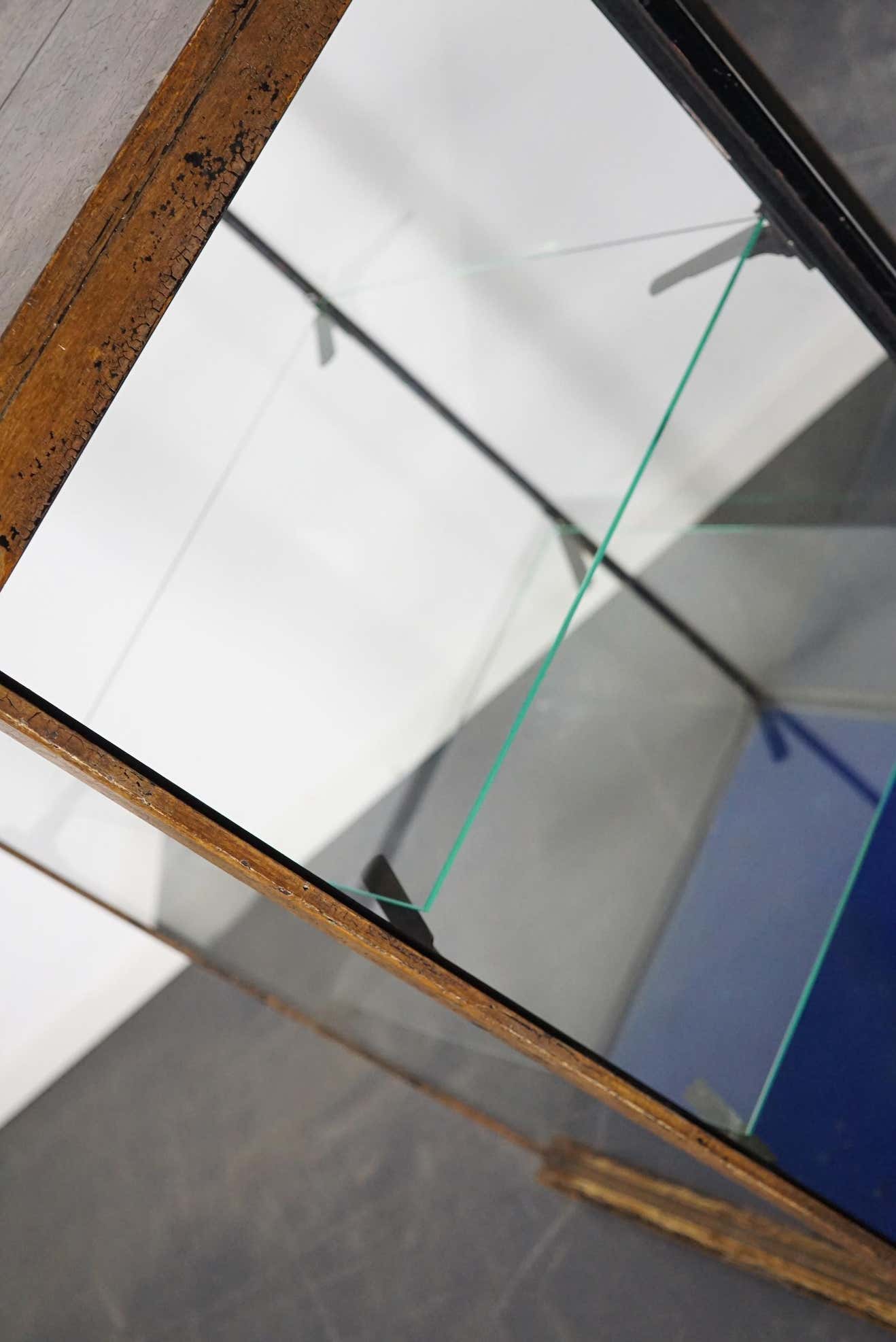 Mahogany showcase painted at the end of the nineteenth century