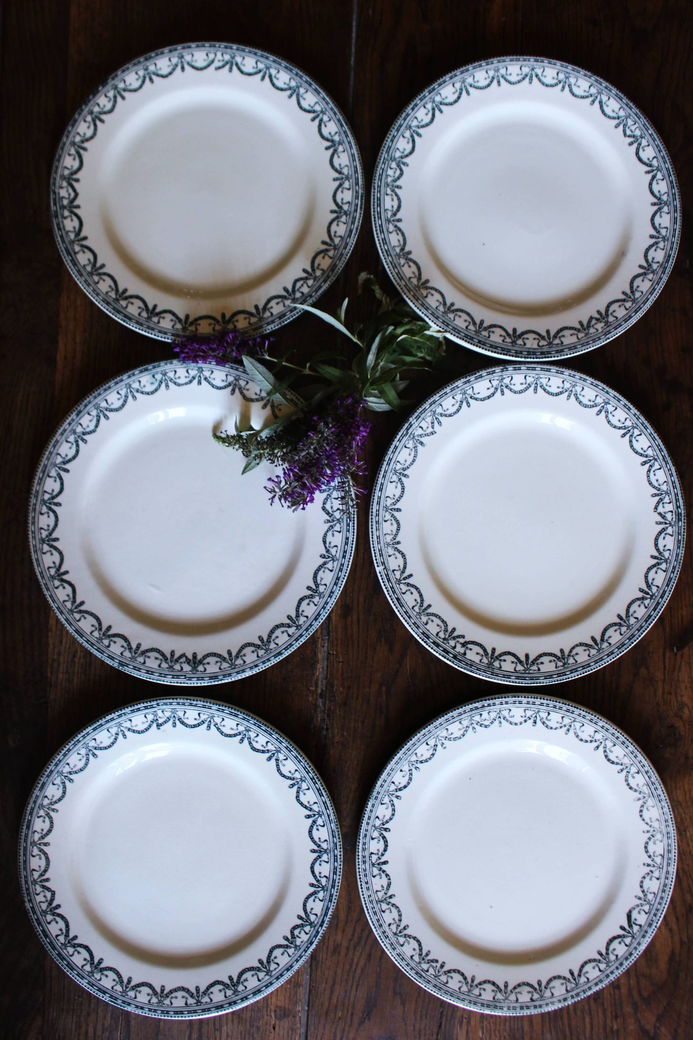 A set of 6 flat plates Terre de Fer Guirlandes Louis XVI Salins