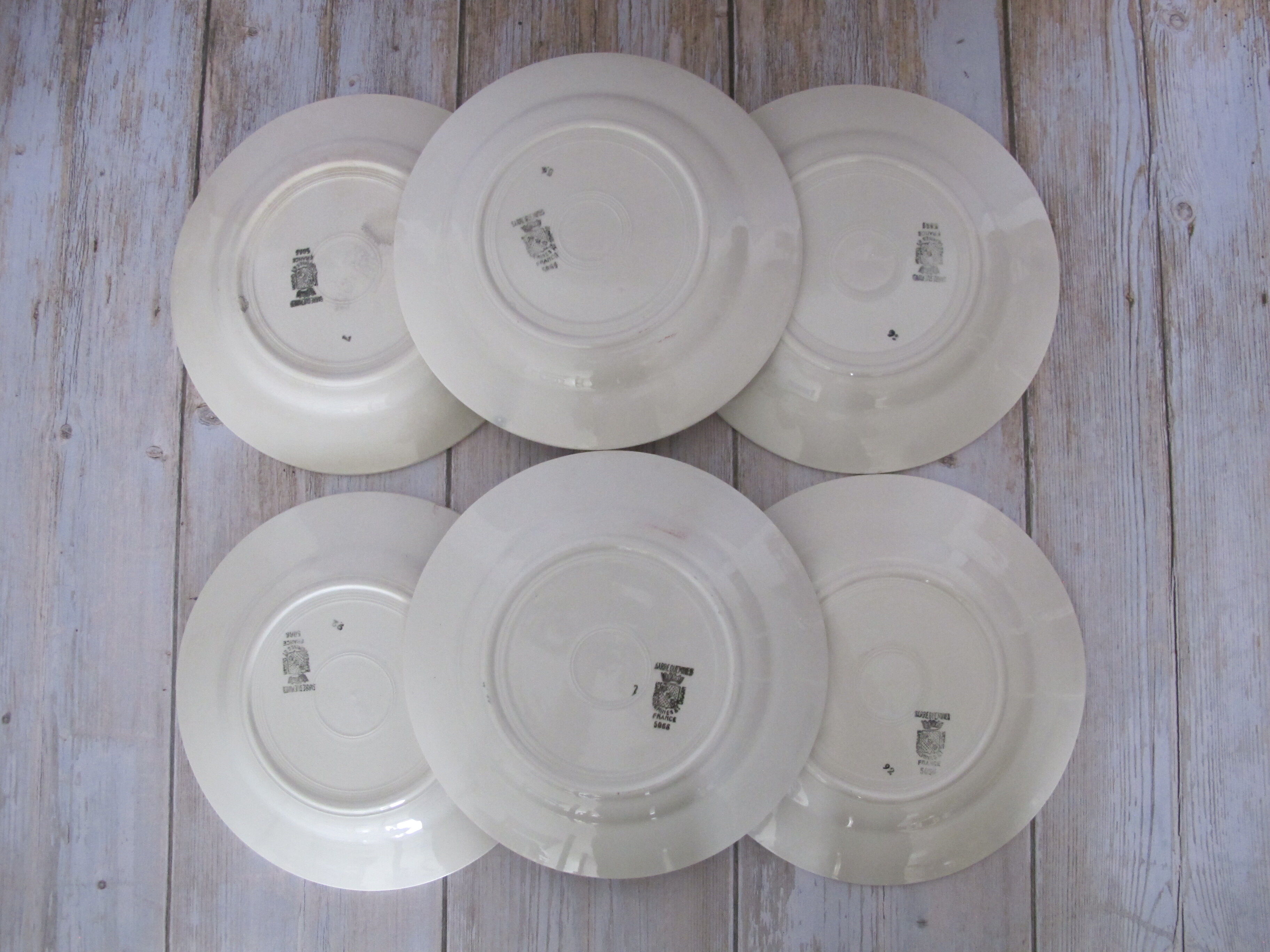 6 Digoin Sarreguemines plate of earthenware