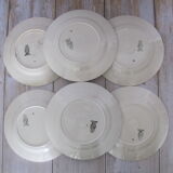 6 Digoin Sarreguemines plate of earthenware
