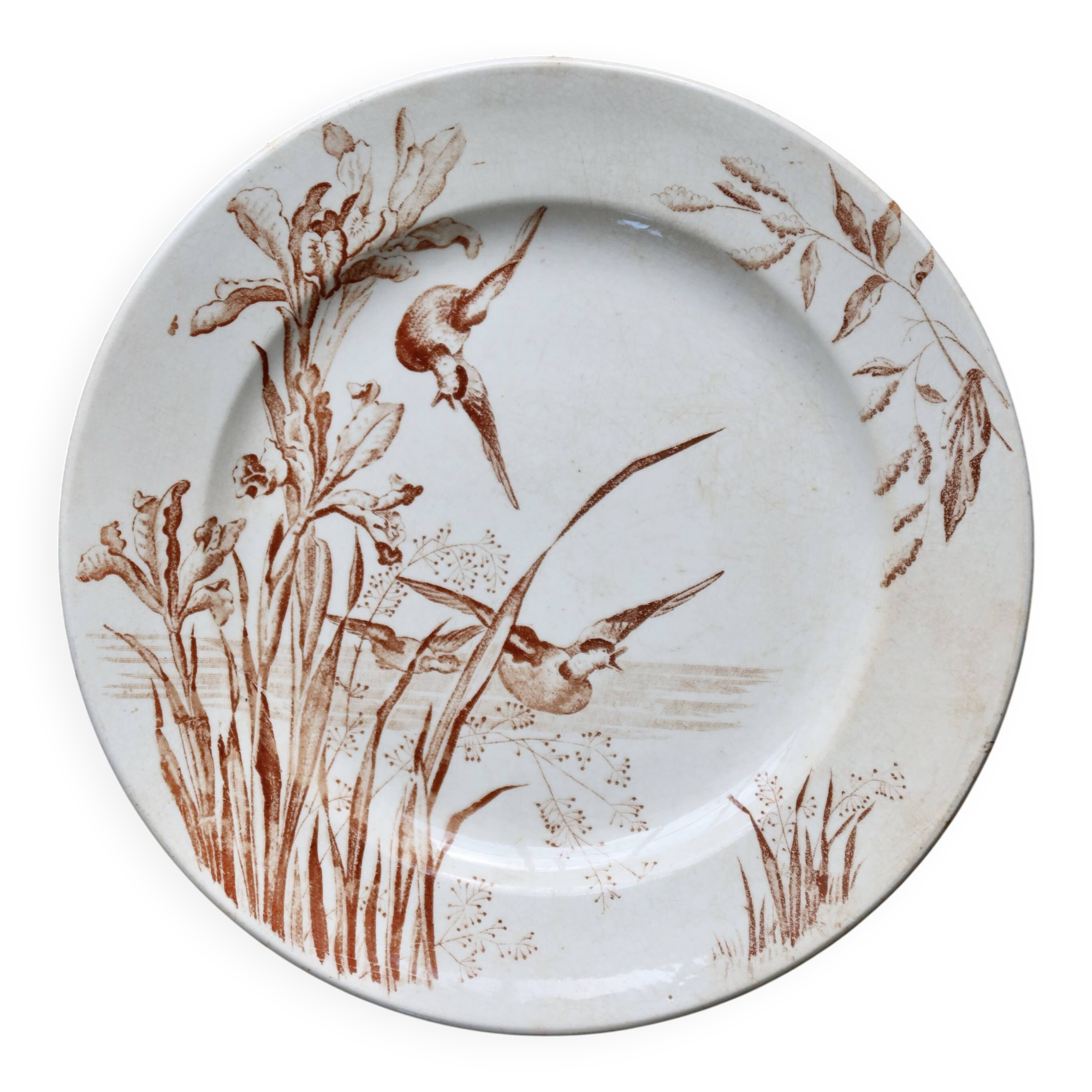Assiette plate ancienne terre de fer Samaritaine décor Nénuphar