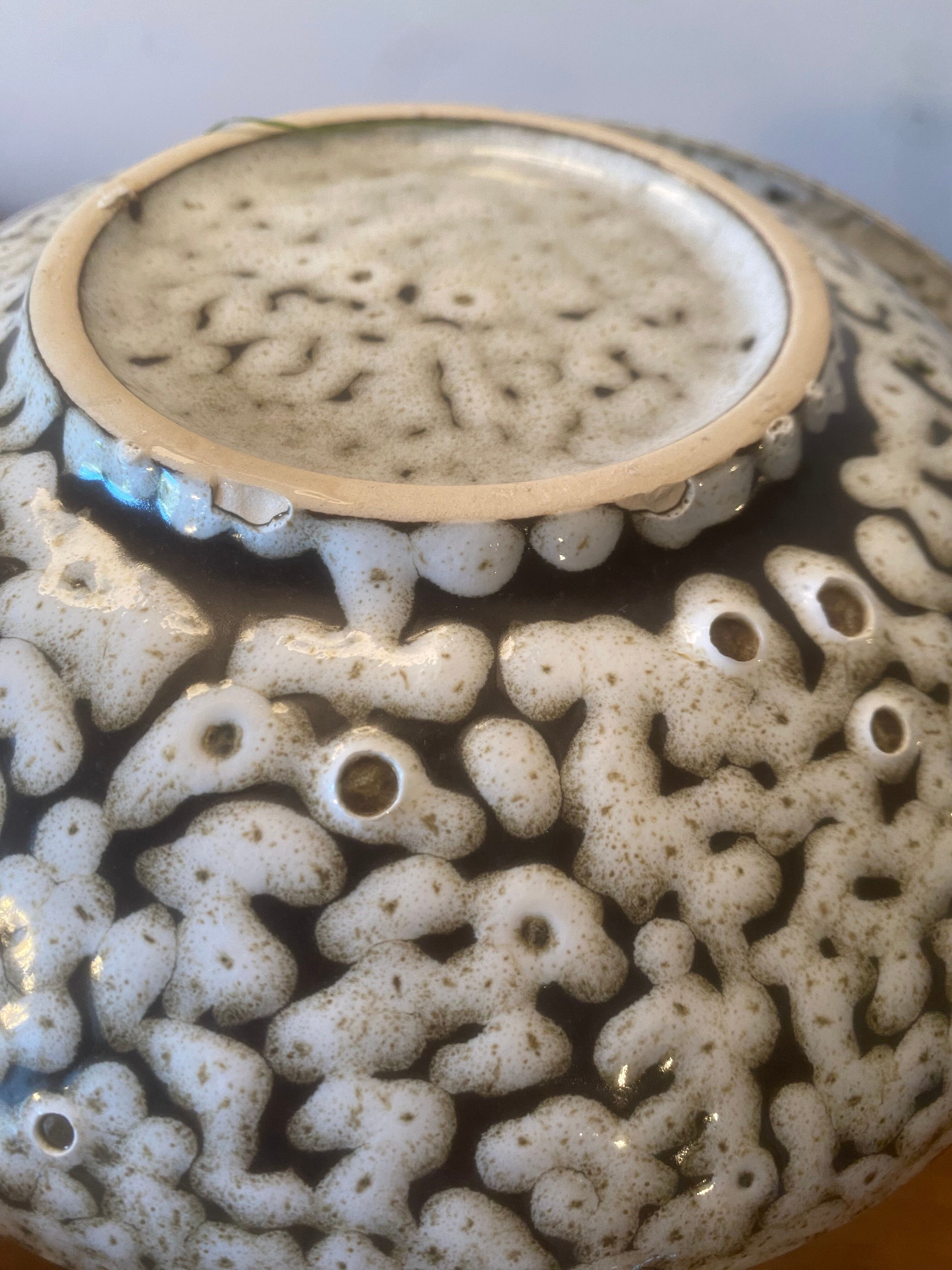 6 deep plates