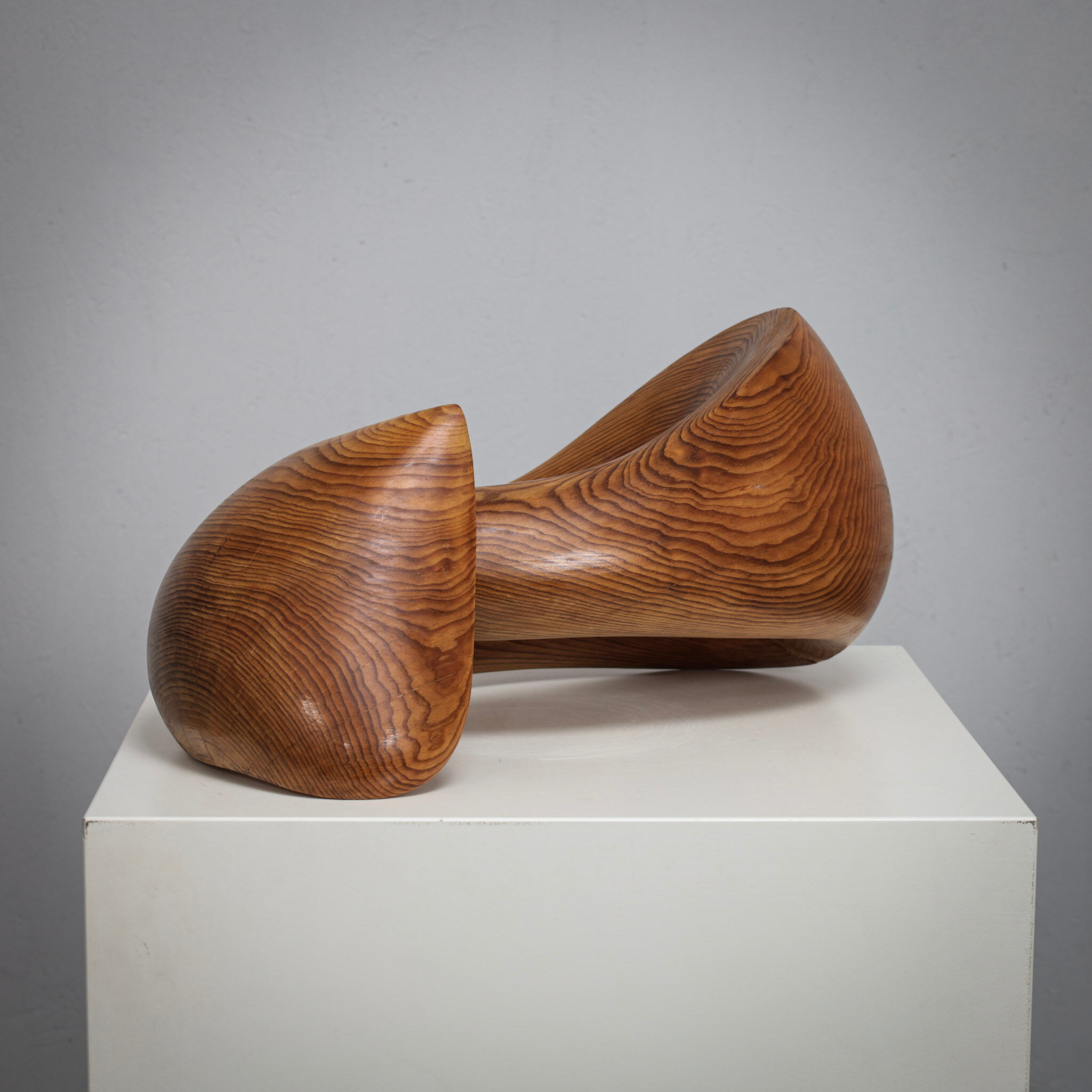 Flying solo, organic sculptural form by Ineke van Zuuren, 1970s