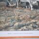 Tableau héliogravure originale Gillot