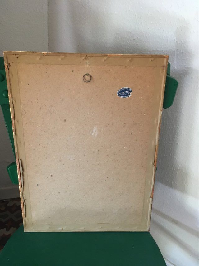 Ornithological board "Platycercus Icterotis" J C Gould H C Richter.