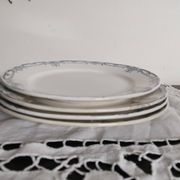 Flat plates (4) in Sarreguemines earthenware, Terre de fer Digoin, Vaucluse model