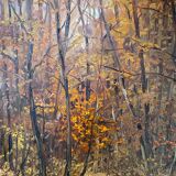 HST painting "Forêt de St Germain - 11 a.m." by L. Delbosco 1984 cf. Andre Roland