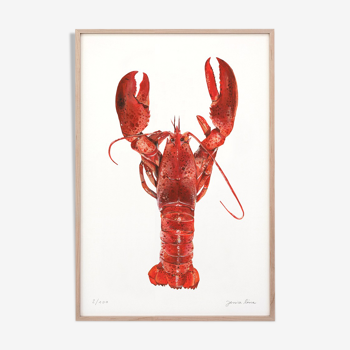 Adèle le homard, tirage d'art 20/30cm