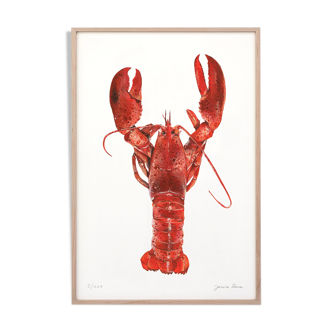 Adèle le homard, art print 20/30cm