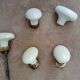 set of 5 old porcelain door handles