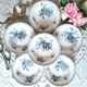 Antique deep plates in ironstone from Sarreguemines.