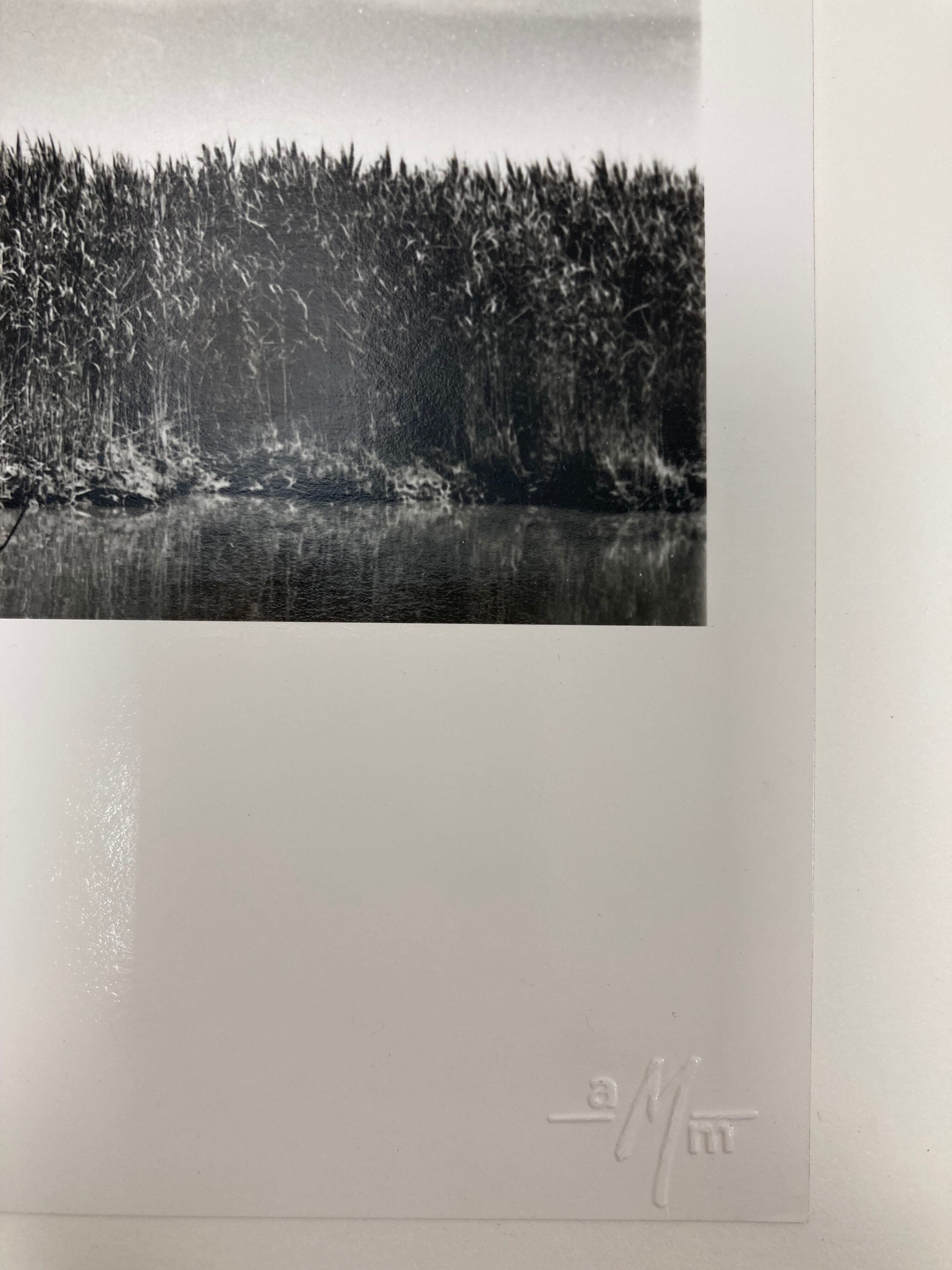 Film landscape photography