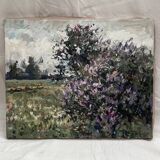 Oil painting on canvas signed dimensions: height -40cm- width -50cm-