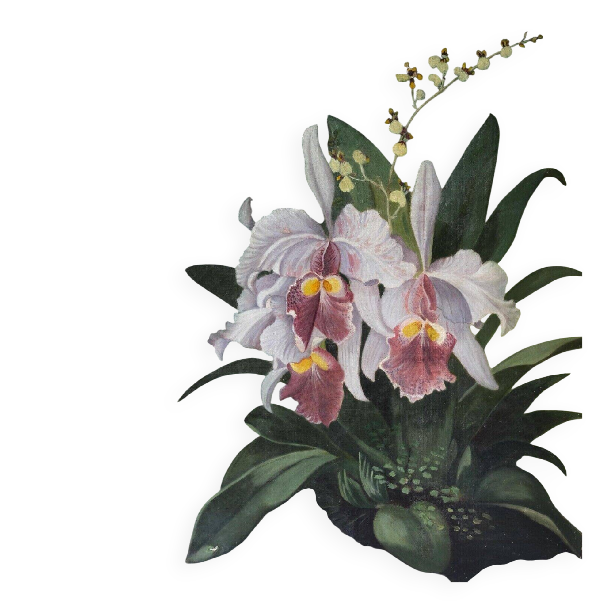 Painting of orchids, flowers, still life bouquet.