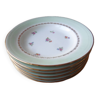 6 soup plates in PL Limoges porcelain 23.5 cm flower decoration with gold edging