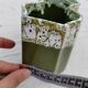 Pot cover in green ceramic original shape