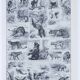 Original plate from 1930: exotic and wild mammals, biodiversity