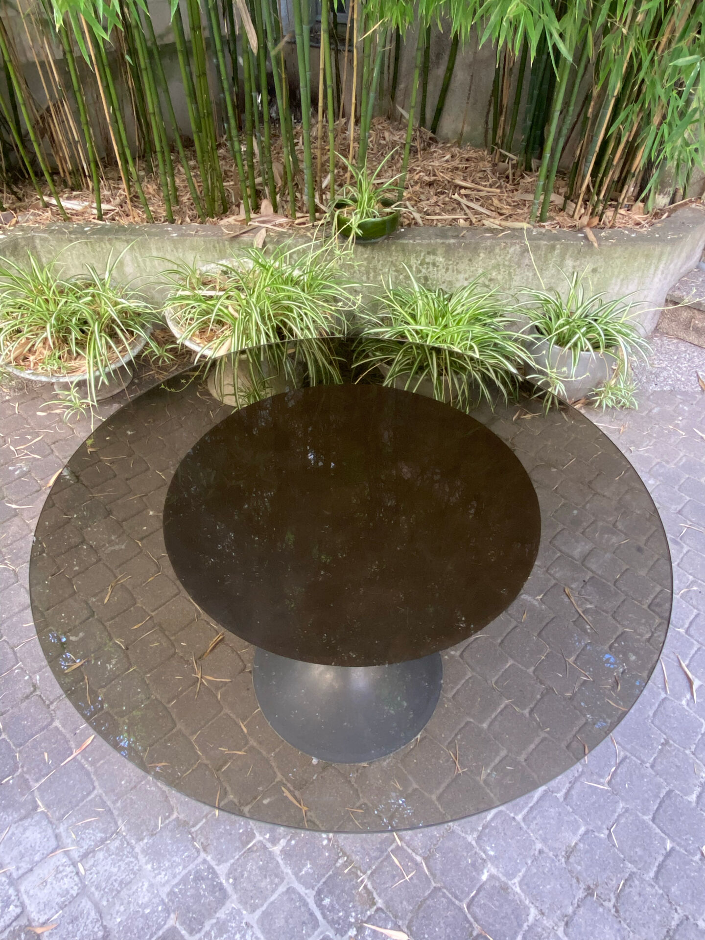 Tulip table