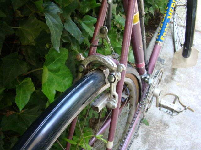 Vintage Eddy Merckx Bike Race