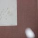 Gravure de fleurs