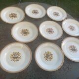 8 flat plates, Carnation model, art deco, CREIL ET MONTEREAU, floral pattern, old