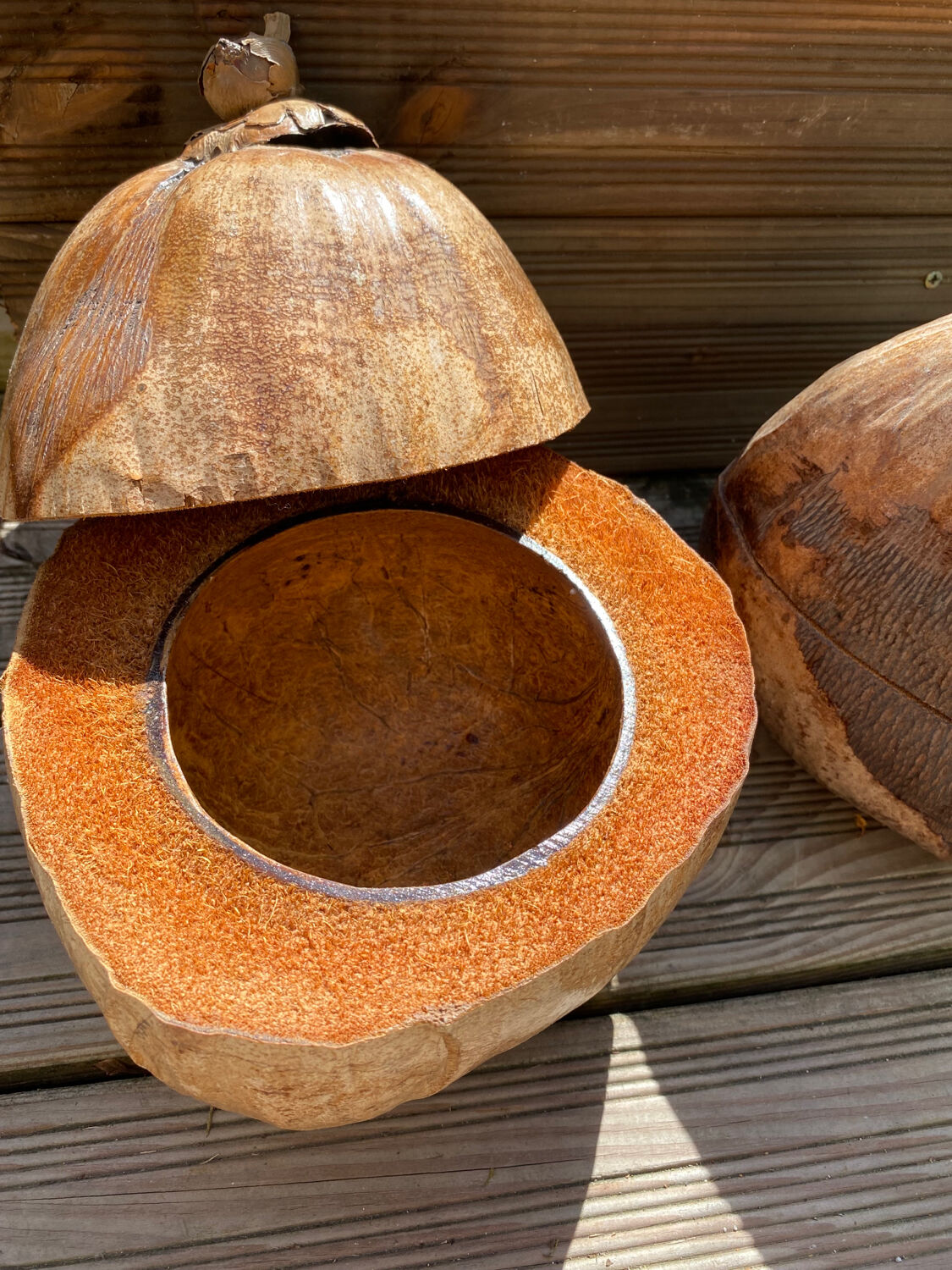 Pair of coconut ice buckets