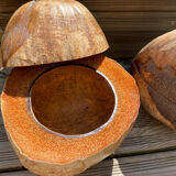 Pair of coconut ice buckets