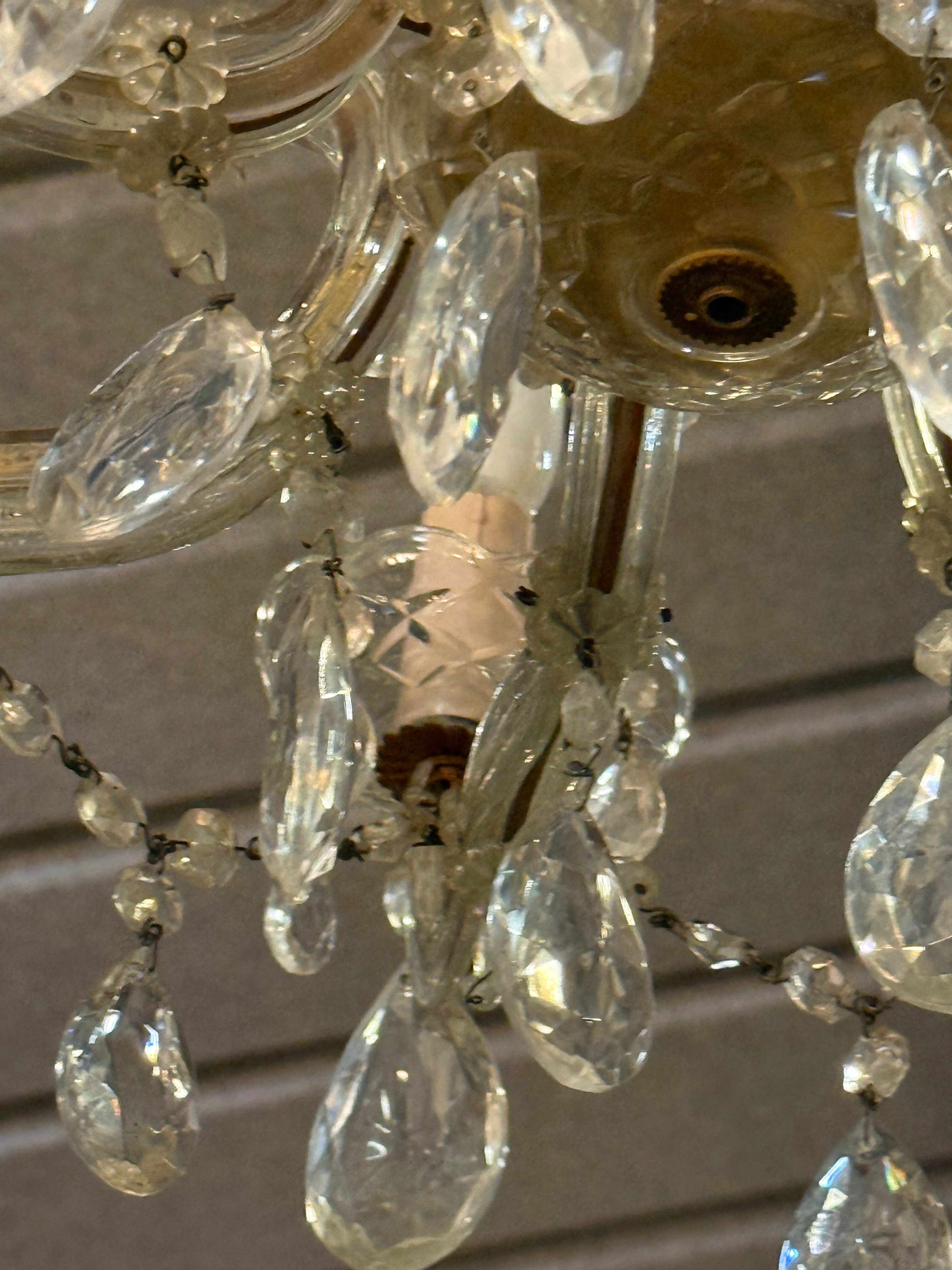 Lustre 12 feux pampilles