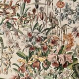 Lithograph engraving on flowers (catalpa) - 1900