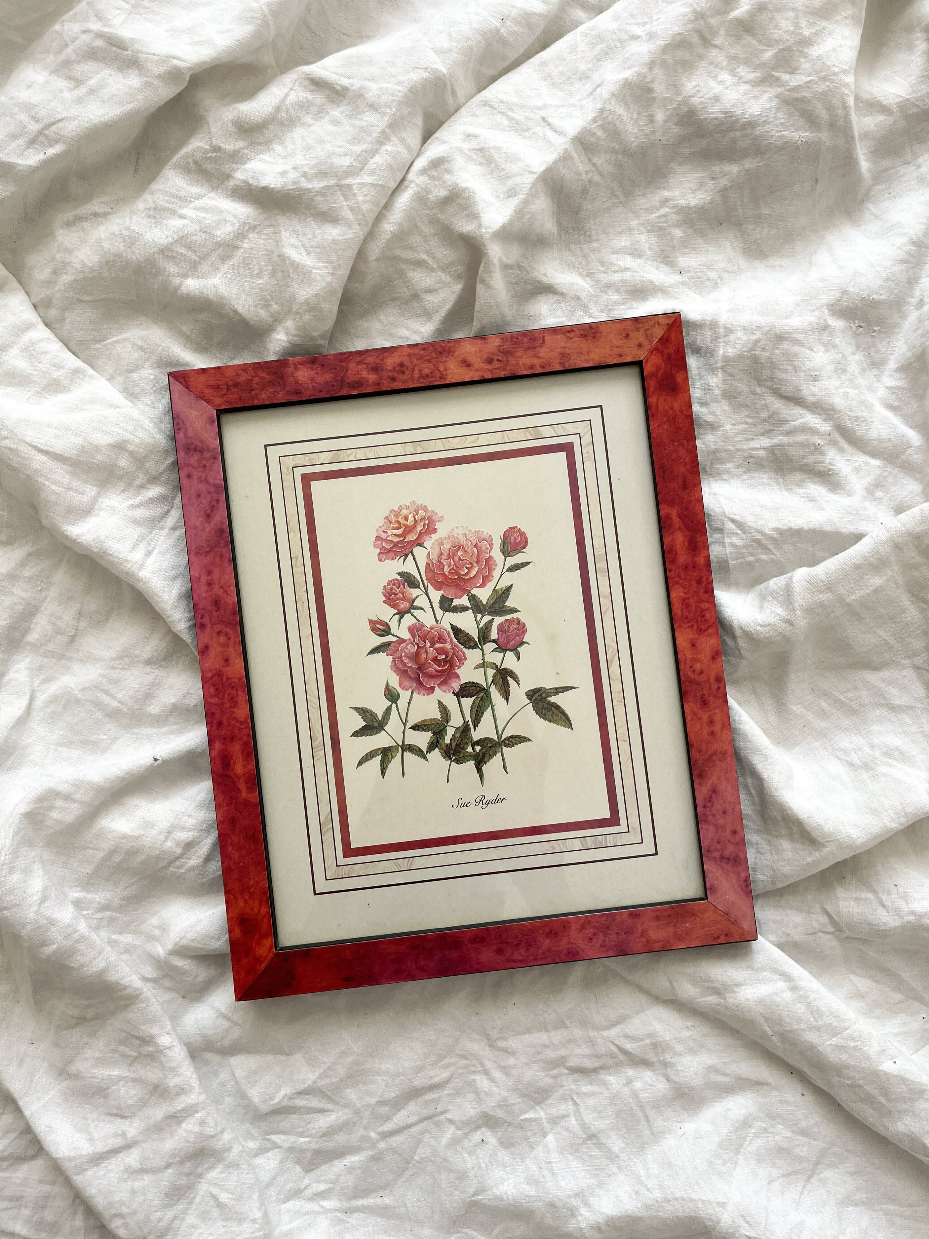 Vintage botanical lithograph