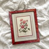 Vintage botanical lithograph