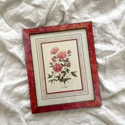 Lithographie botanique vintage