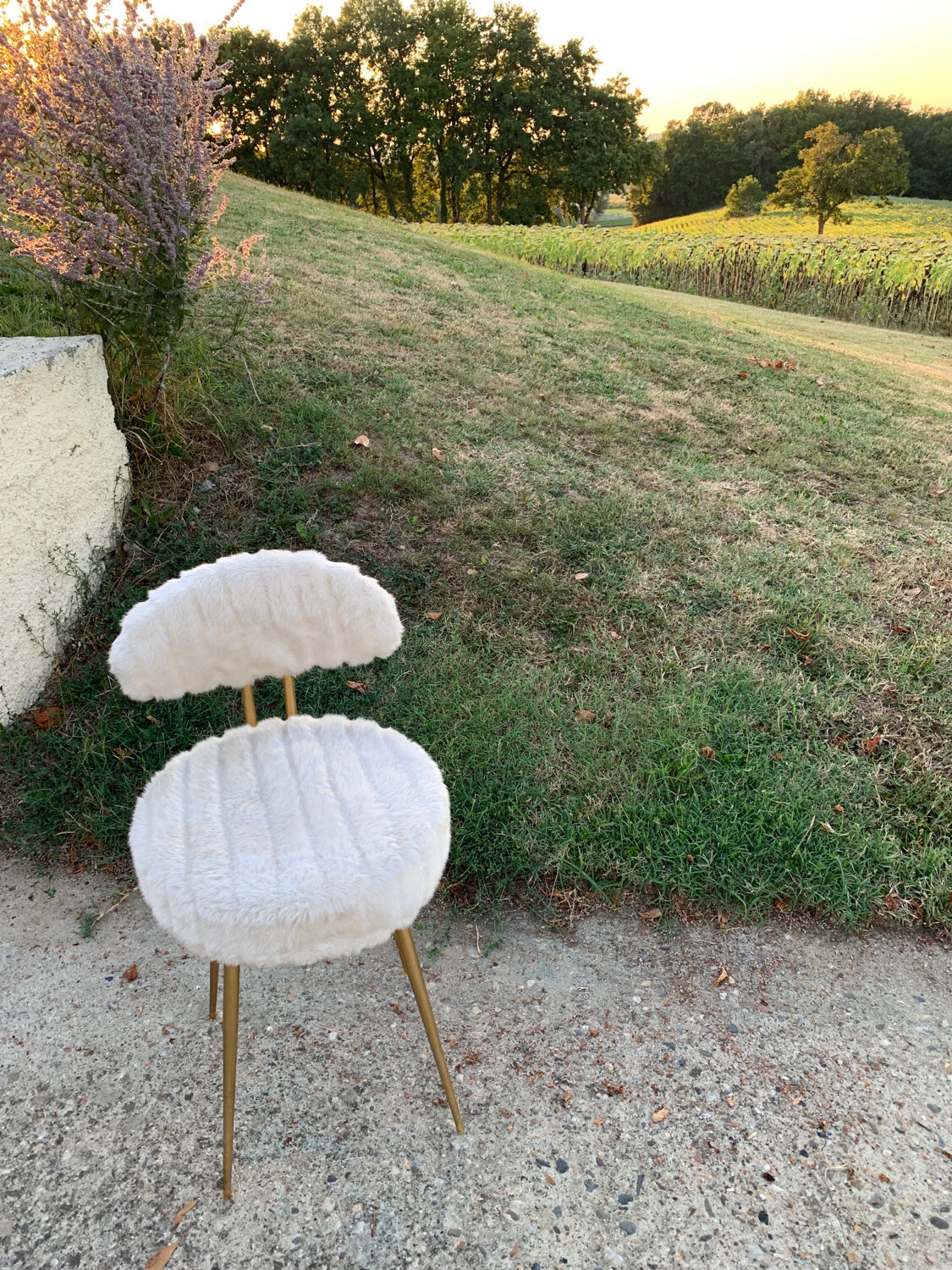 Chair Pelfran - vintage 1970