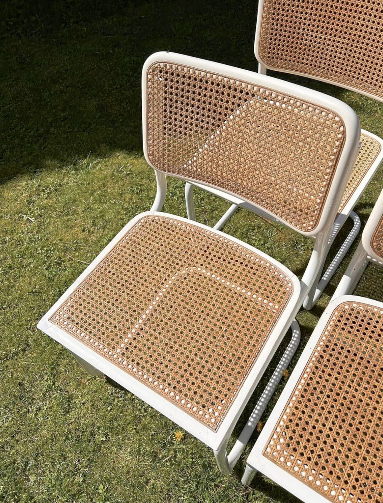 6 chaises Cesca