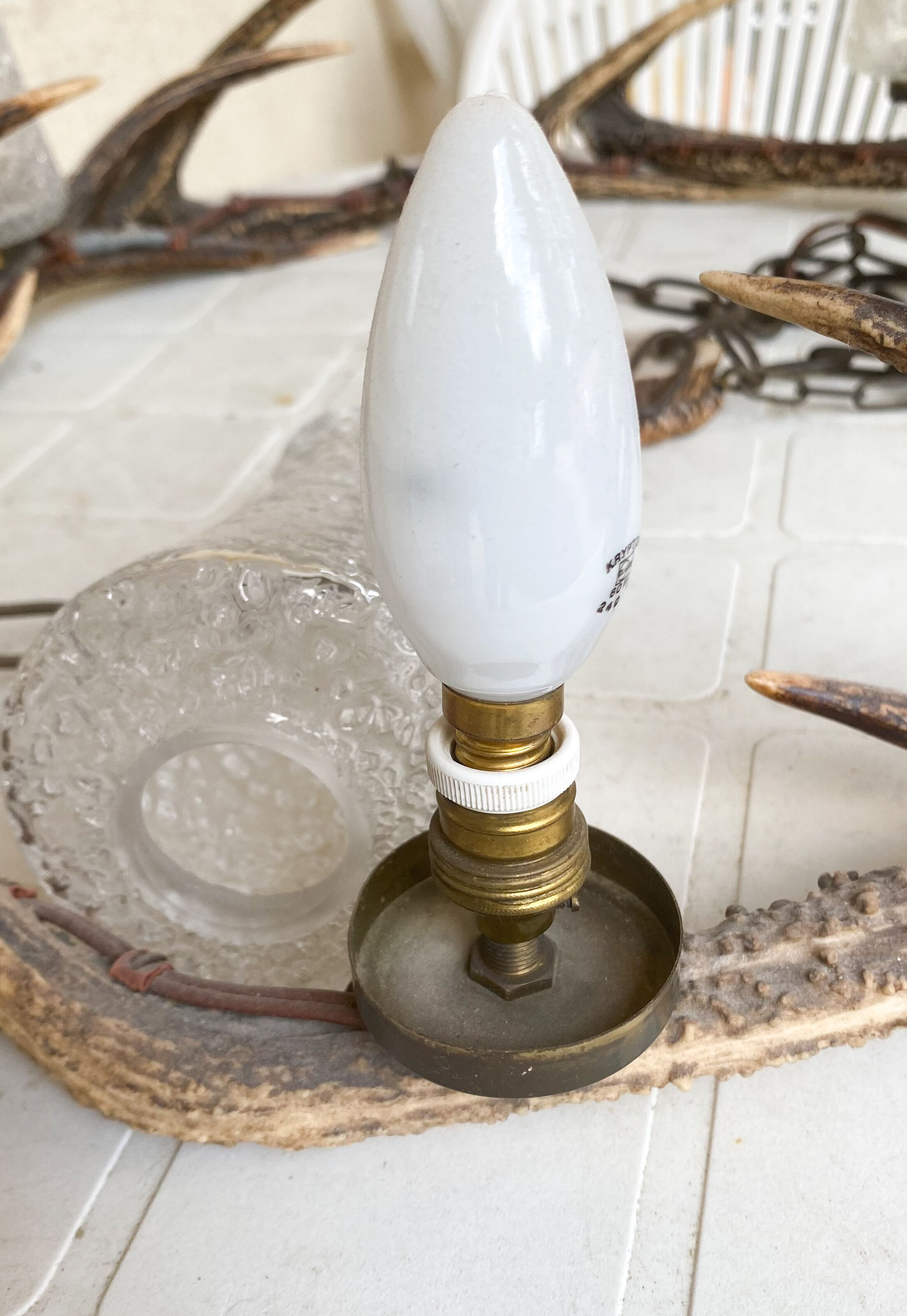Lustre deer antler