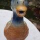 Duck pitcher barbotine St Clément