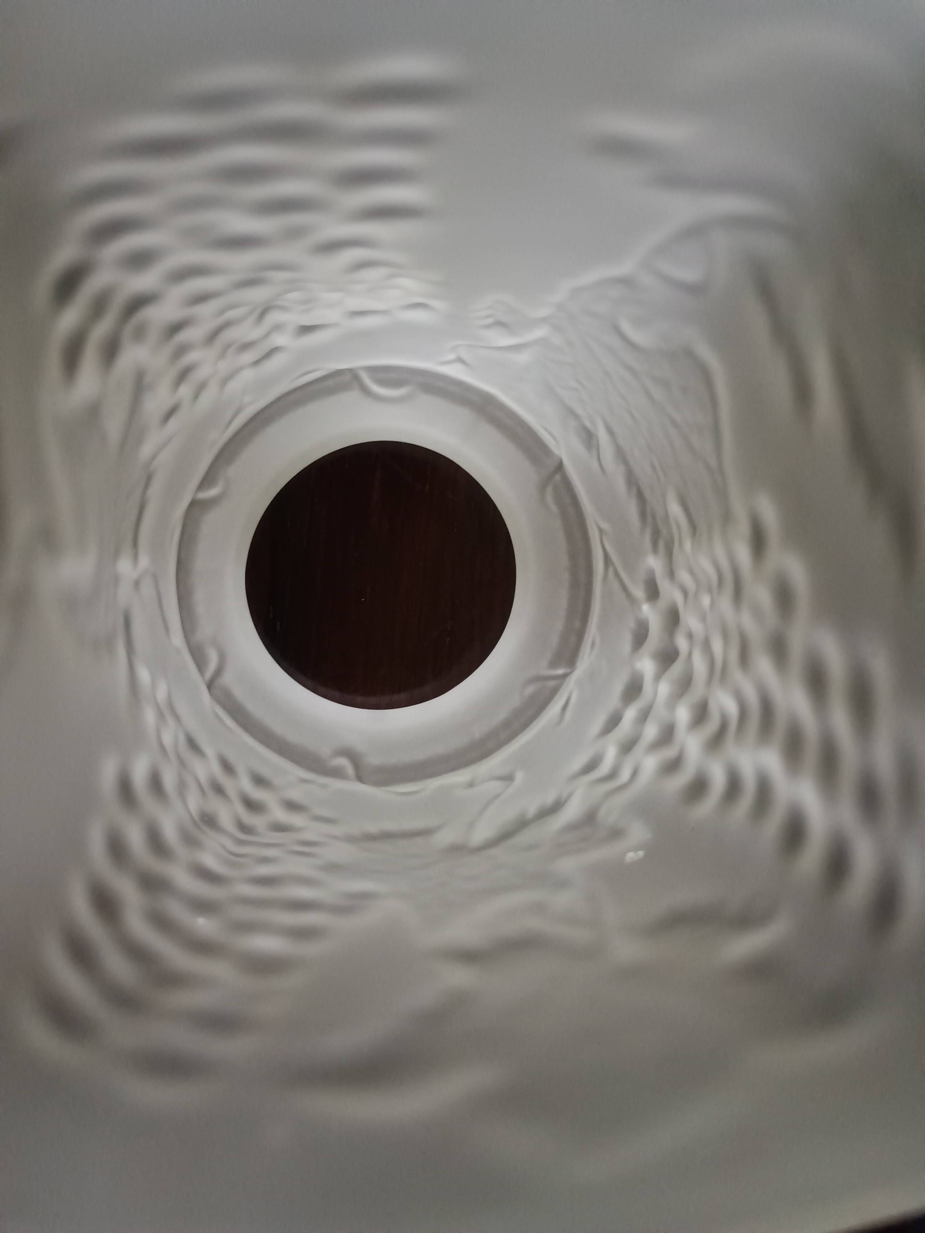 Tulipe lustre ou lampe moulé aux pampre de vigne raisin - verre dépoli