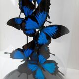 Flight of butterflies under globe